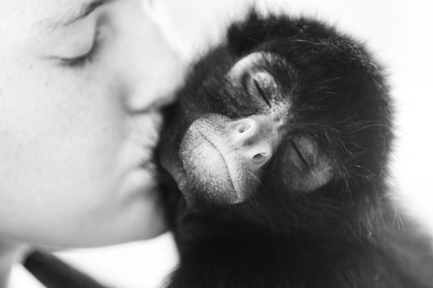 tracey-buyce-animal-photographer-monkeys-bolivia198.jpg
