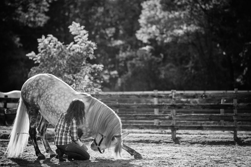 tracey-buyce-saratoga-equestrian-photography04.jpg