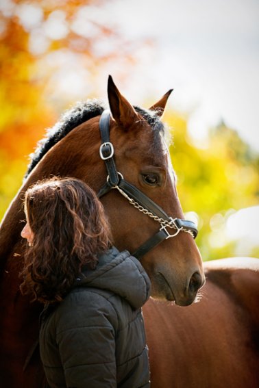 tracey-buyce-saratoga-equestrian-photography12.jpg