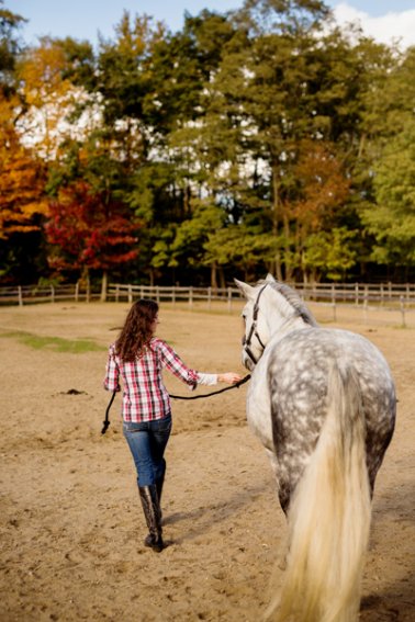 tracey-buyce-saratoga-equestrian-photography17.jpg