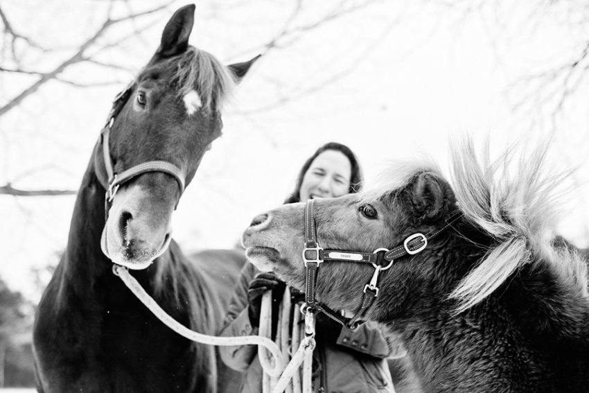 Horse-Photography-Saratoga-Springs-NY03.jpg