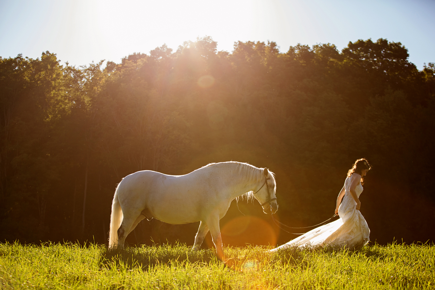 Tracey Buyce wedding photography with horse37.jpg
