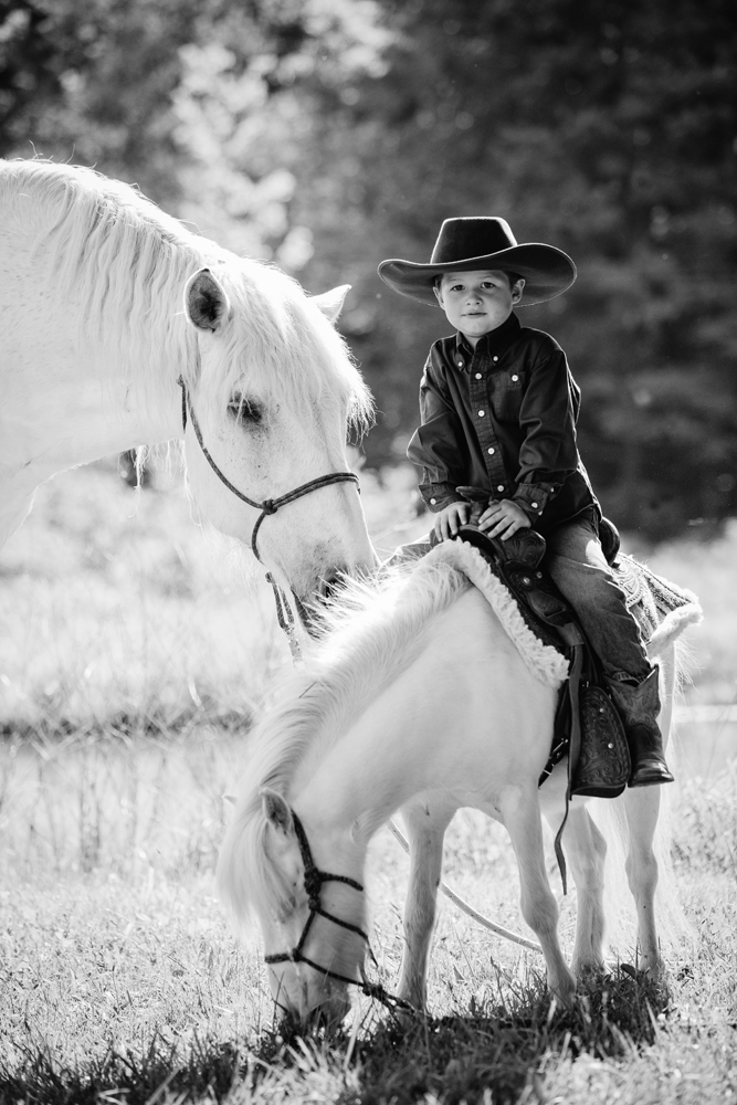 horse photography saratoga ny21.jpg