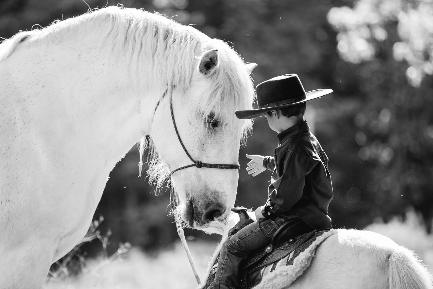 horse photography saratoga ny22.jpg