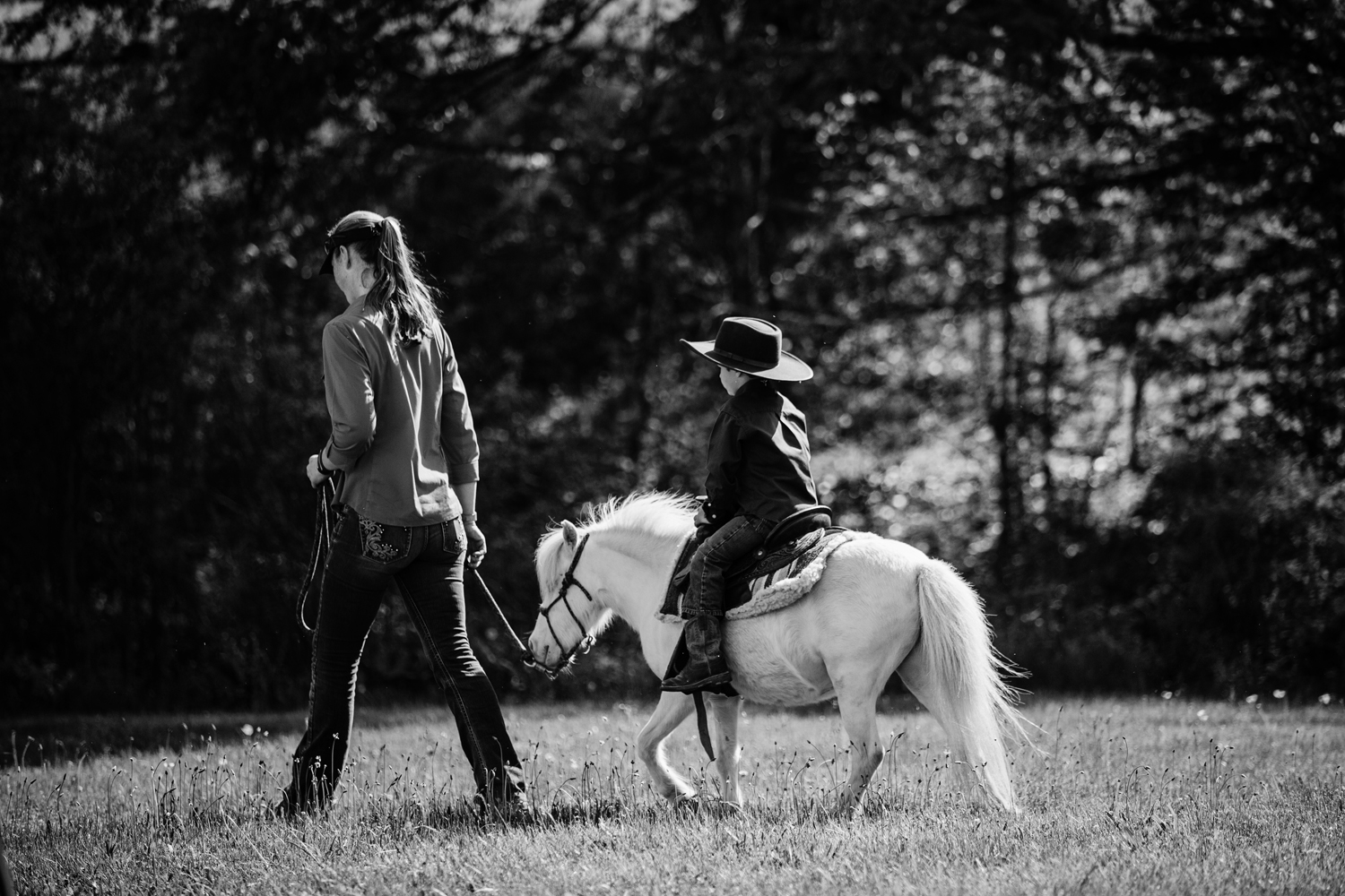 horse photography saratoga ny23.jpg