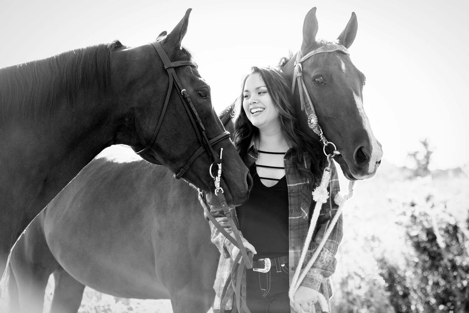 Equestrian Photography Saratoga Springs NY54.jpg