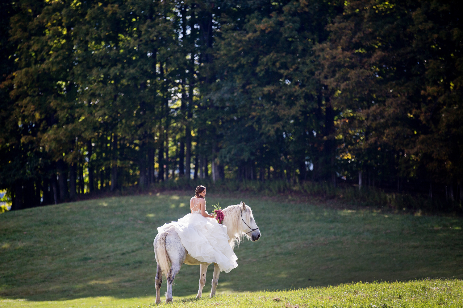 wedding horses saratoga ny51.jpg