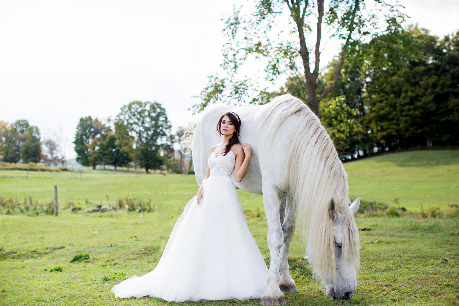 wedding horses saratoga ny53.jpg