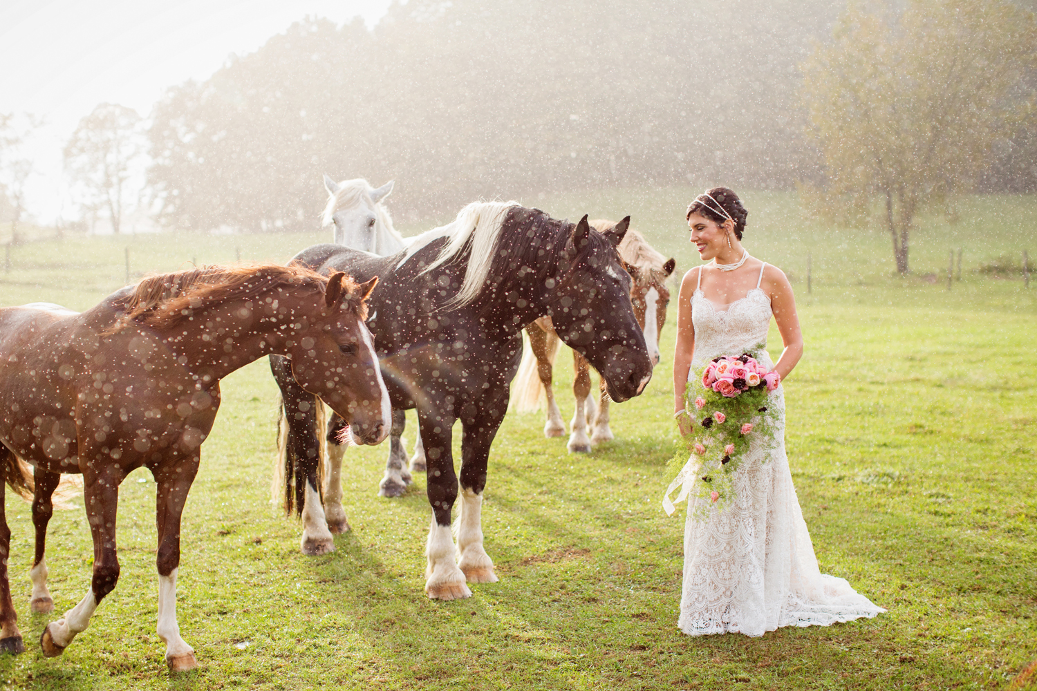 wedding horses saratoga ny55.jpg
