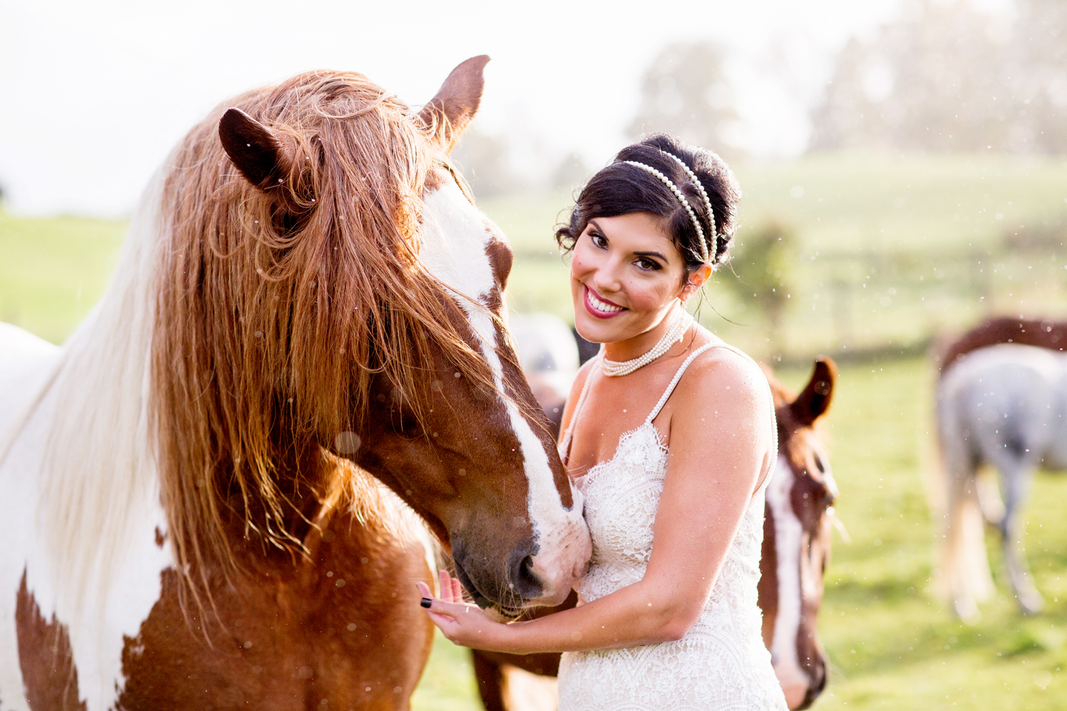 wedding horses saratoga ny56.jpg
