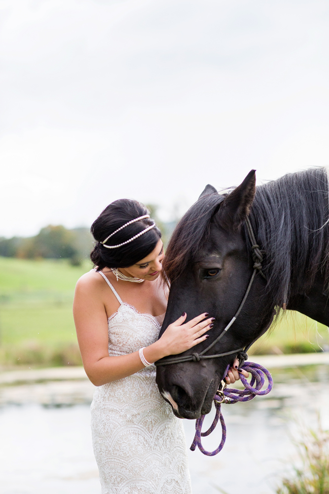 wedding horses saratoga ny61.jpg