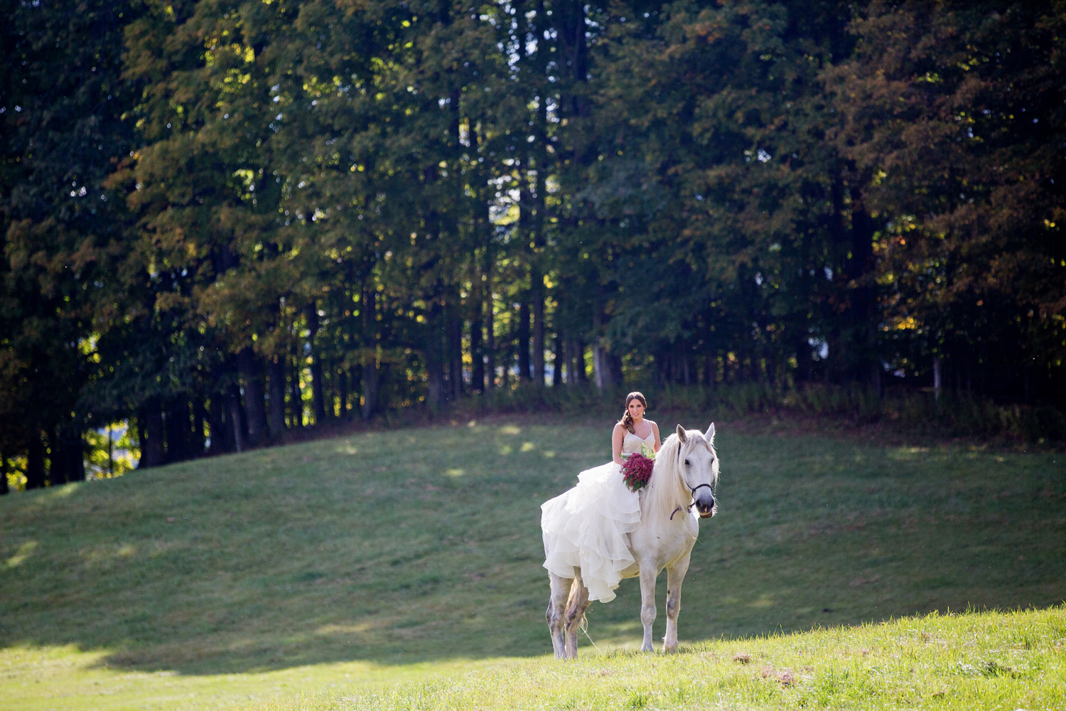 wedding horses saratoga ny63.jpg