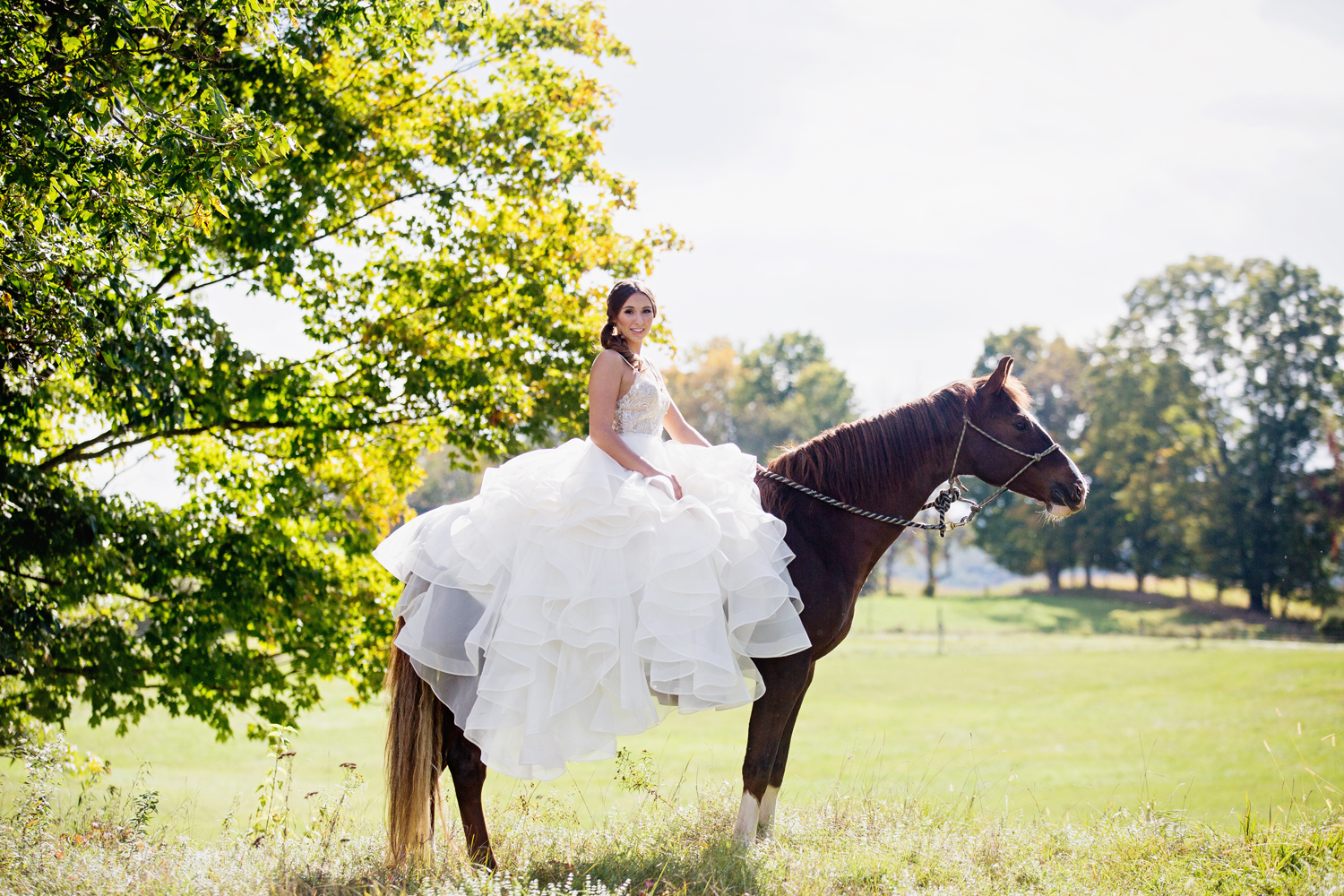 wedding horses saratoga ny70.jpg