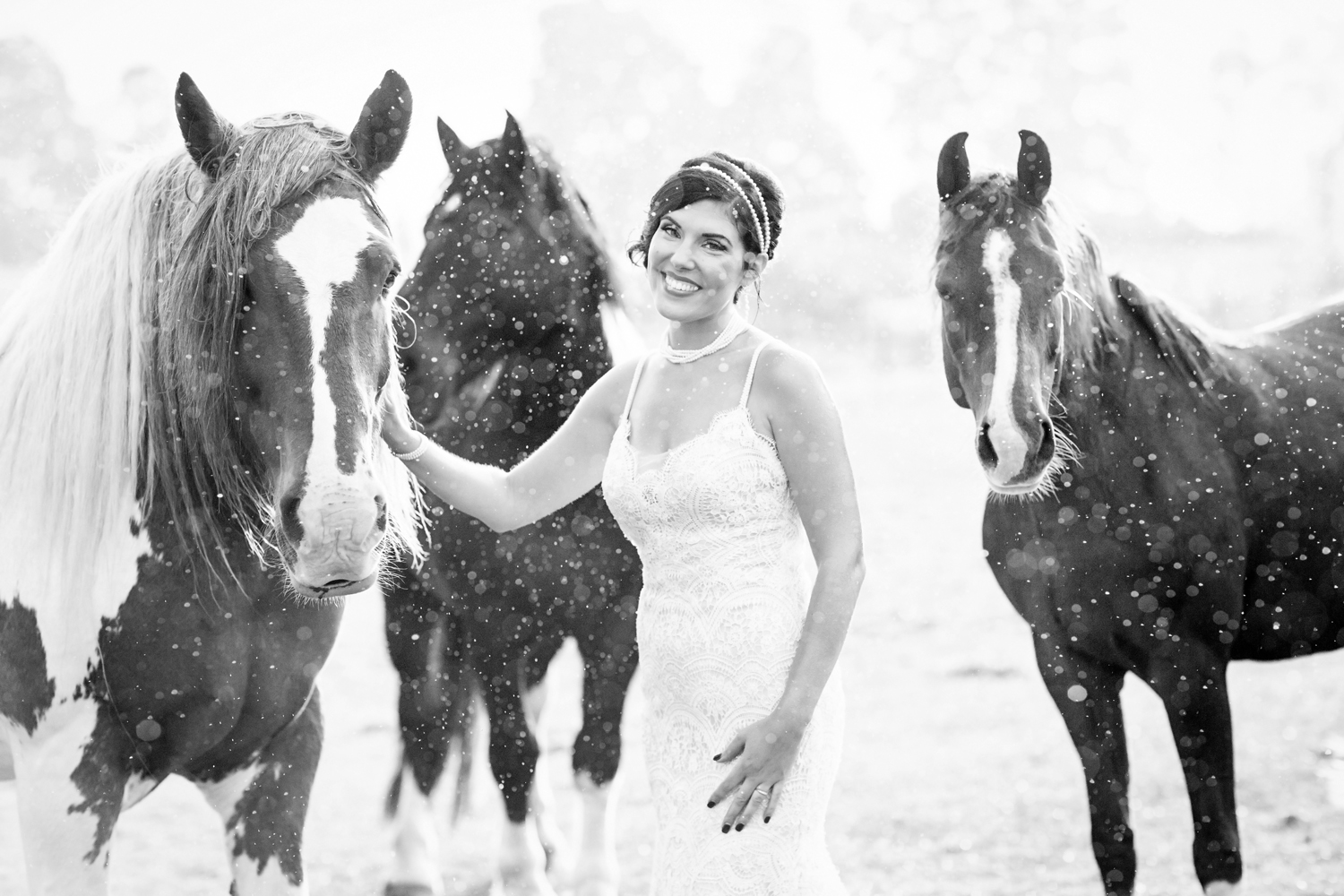 wedding horses saratoga ny73.jpg