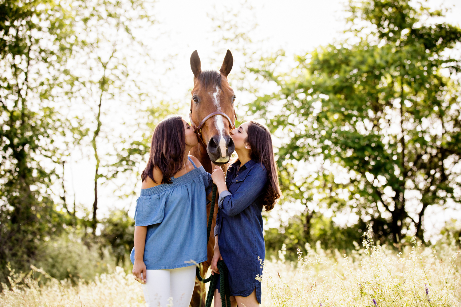 Equestrian Photography Saratoga Springs NY07.jpg