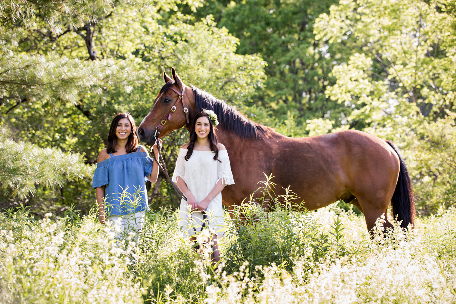 Equestrian Photography Saratoga Springs NY16.jpg