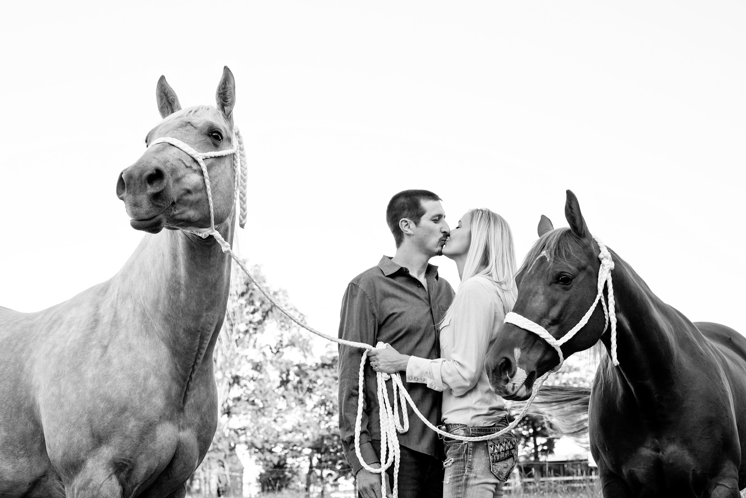 engagement and horse photography saratoga springs ny40.jpg