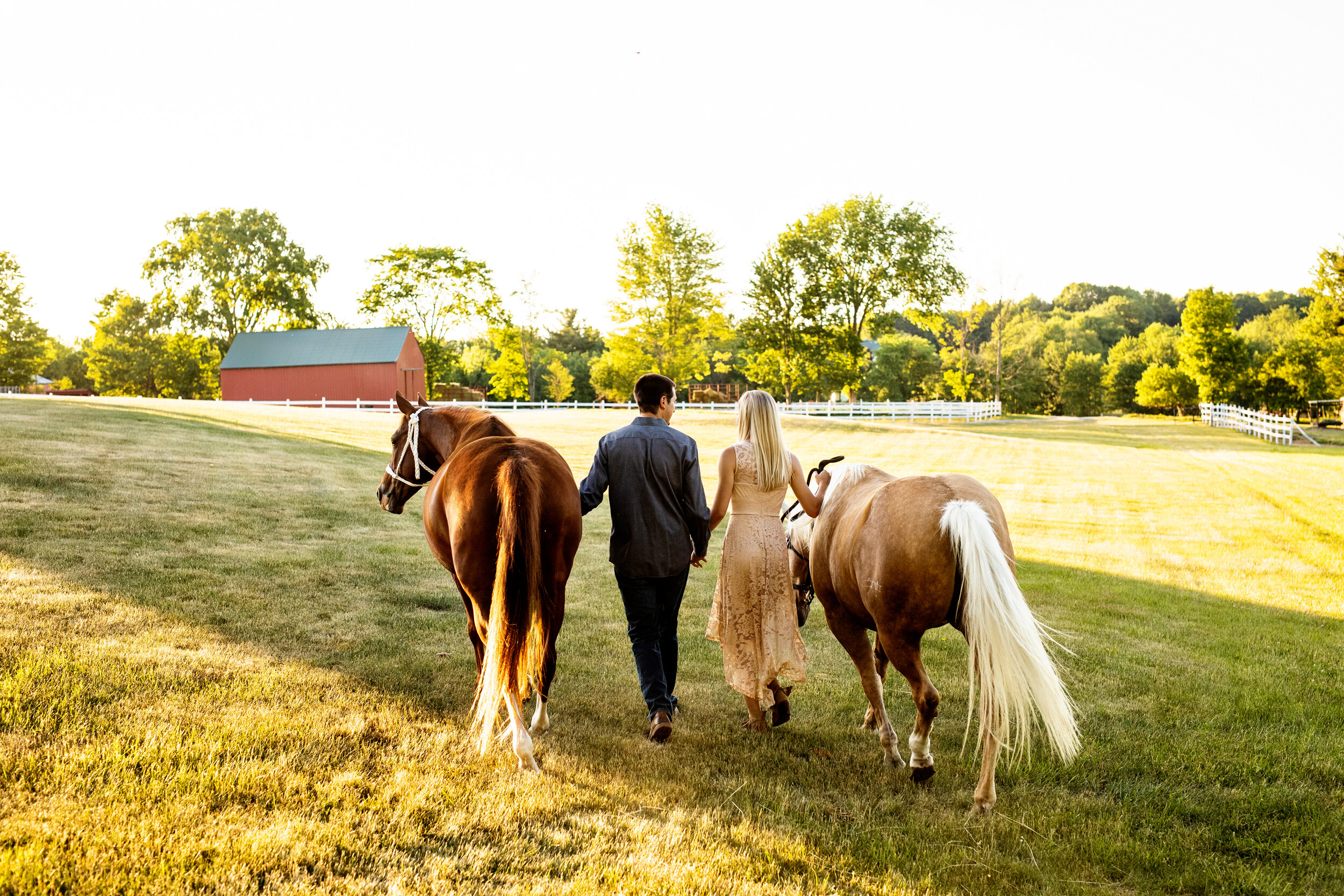 engagement and horse photography saratoga springs ny59.jpg