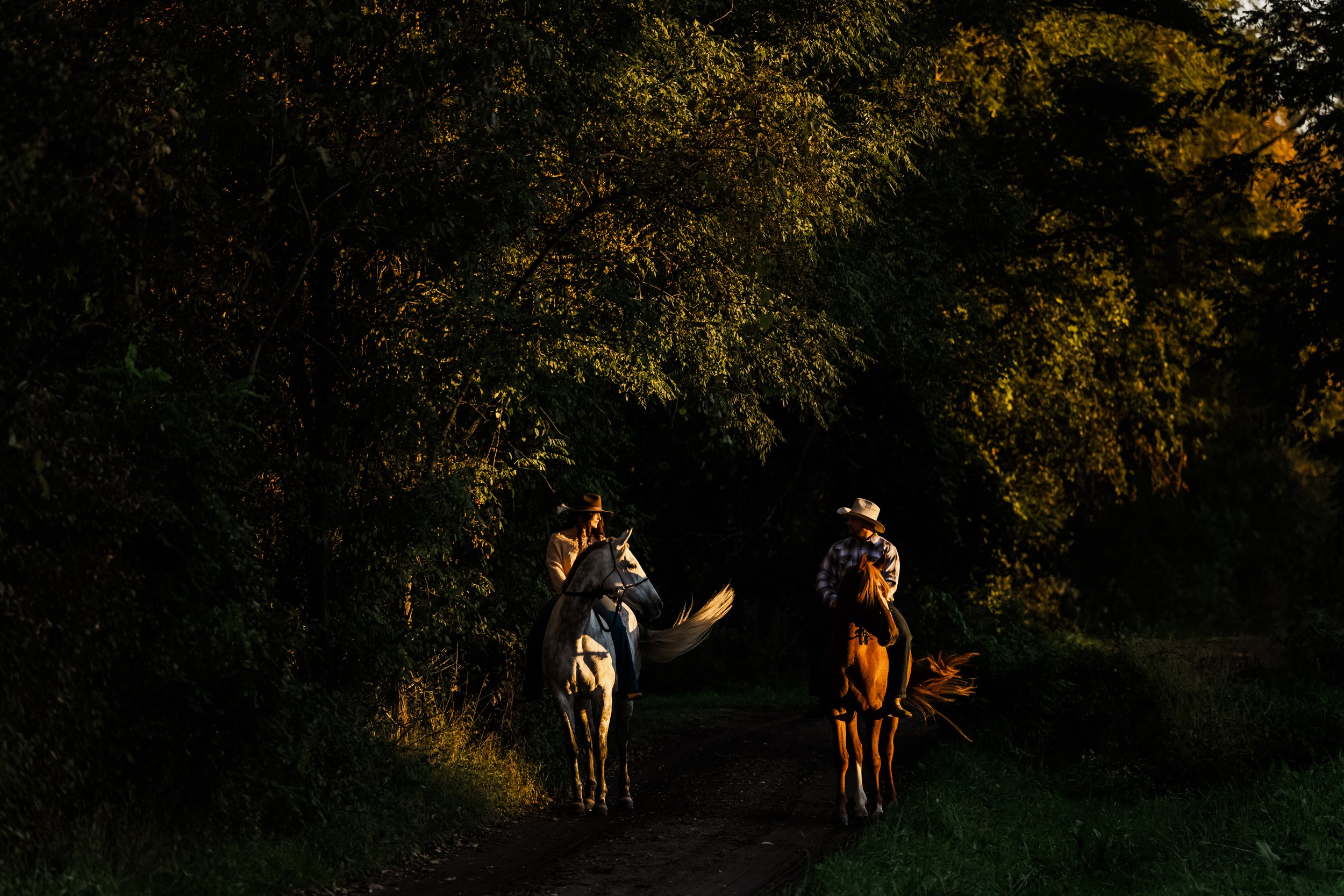 saratoga-ny-equestrian-photography (10).jpg